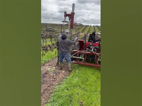 Vineyard Double Stake Driver 